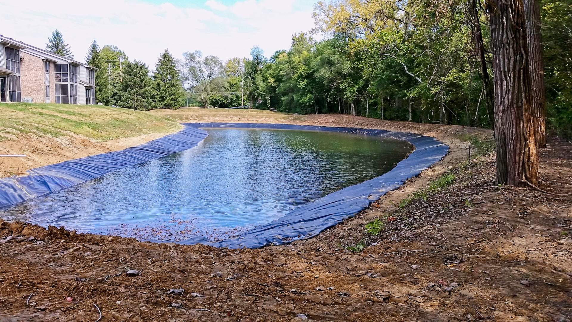 Stormwater Management Pond Black Atlantic