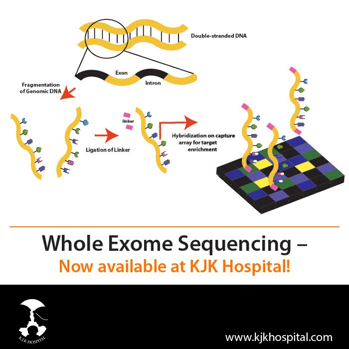 How Does Yale Keck Sequencing Work Simplified Black Atlantic