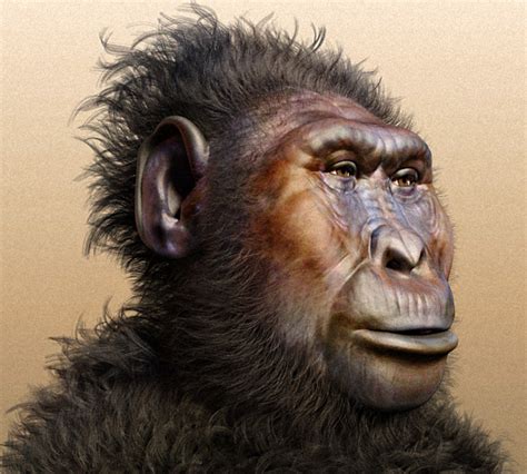 1: Paranthropus Boisei Skull