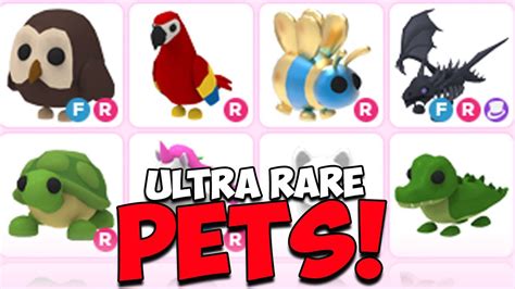 10+ Adopt Me Secrets To Get Rare Pets