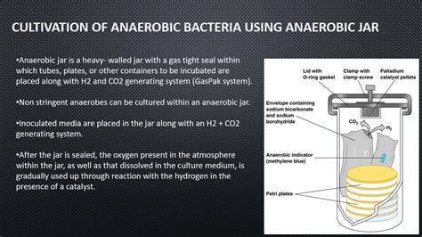 10 Anaerobic Media Tips For Better Results