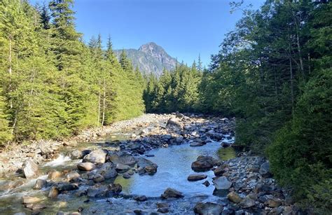 10 Best Trails And Hikes In Maple Ridge Alltrails