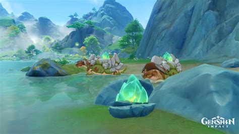 10+ Clearwater Jade Sites For Easy Discovery