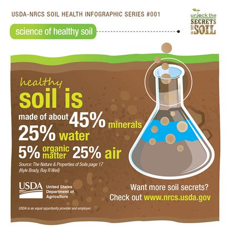 10+ Coal Secrets For Healthier Soil Conditions