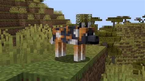 10+ Dog Biomes Secrets For Survival