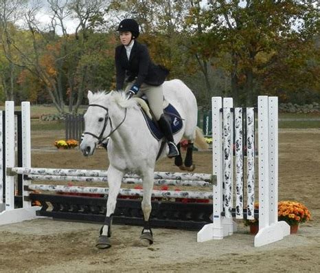 10+ Equestrian Secrets From Yale Experts