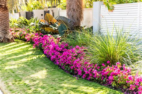 10+ Florida Garden Ideas To Boost Curb Appeal