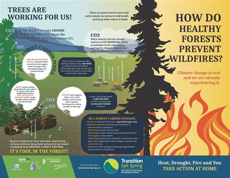 10 Forest Fire Tips To Ensure Safety