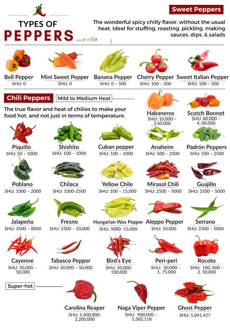 10+ Fruit Secrets About Peppers