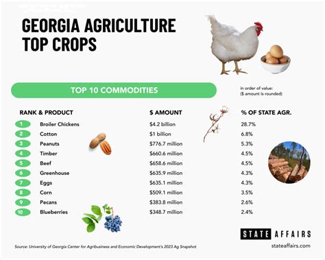 10 Georgia Crops For Higher Yields