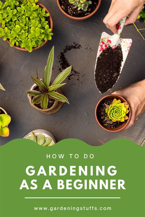 10 Home Planting Secrets For Beginners