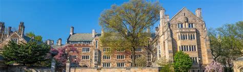 10+ Insider Secrets From Yale Alumni Committee