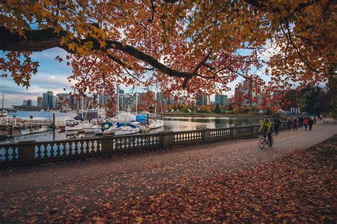 10+ Insider Tips For A Perfect Stanley Park Visit