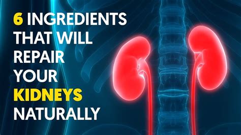 10 Kidney Removal Tips For Faster Recovery