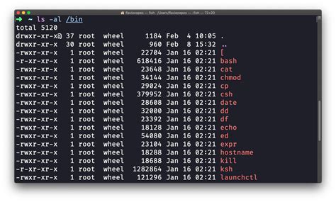 10+ Ls Commands For Easy File Navigation