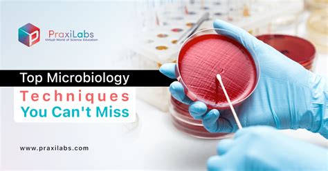 10 Microbiology Tips For Better Research