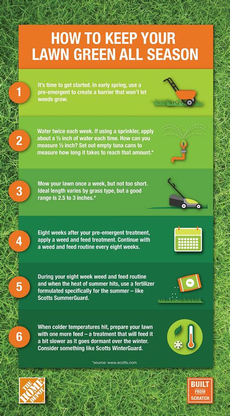 10 Mill Woods Turf Tips To Save Time