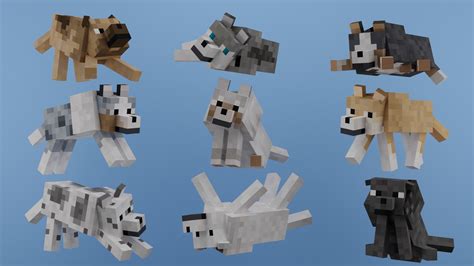 10+ Minecraft Dog Breeds For Enhanced Survival