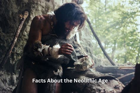 10+ Neolithic Era Facts Uncovered