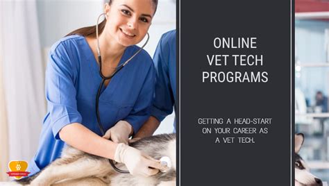 10 Online Vet Tech Programs For Easy Certification