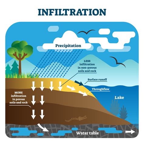 10 Percolation Images To Improve Understanding