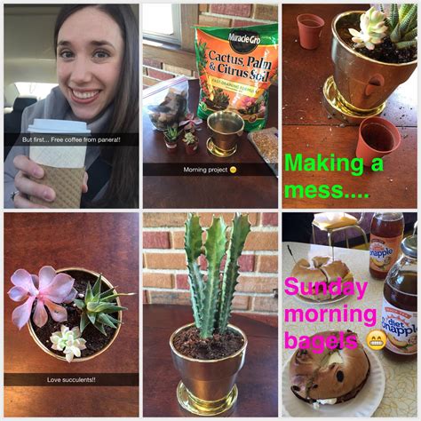 10+ Plant Delivery Hacks On Snapchat