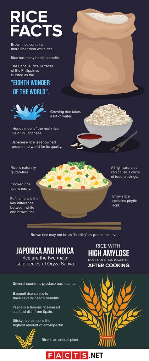 10 Rice Facts To Save Money