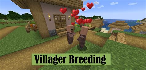 10+ Secrets To Breed Villagers Successfully