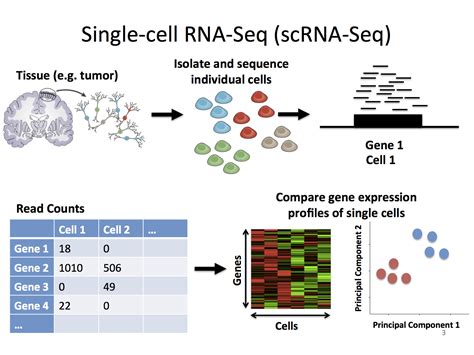 10 Single Cell Secrets