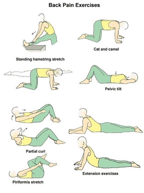 10 Stretches For A Pain Free Back Health And Love Page