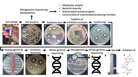 10+ Teh Czyz Lab Tips For Faster Progress