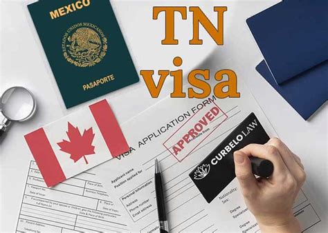 10 Tn Visa Job Opportunities That Increase Approval