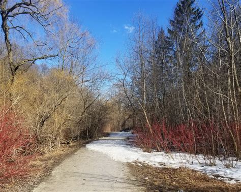 10+ Toronto Trails In Nordheimer To Explore