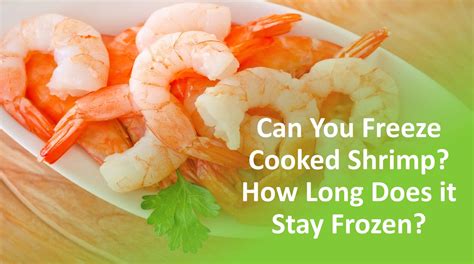 10+ Ways To Freeze Cooked Shrimp Safely