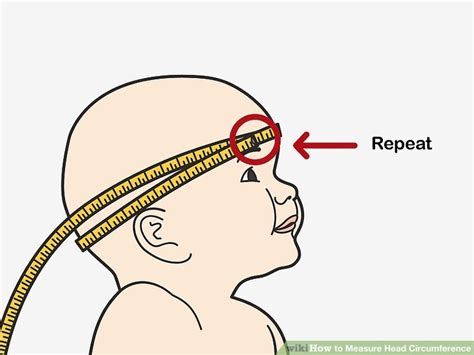 10+ Ways To Track Infant Head Circumference Accurately