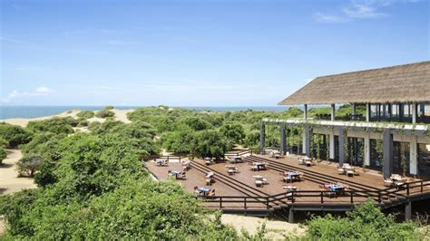 10 Yala National Park Accommodations For Best Experience