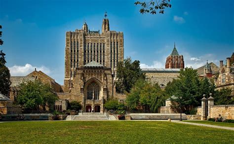 10 Yale Facts Essential Info For Aspiring Students David Brown