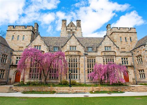 10 Yale Masters Programs That Boost Careers