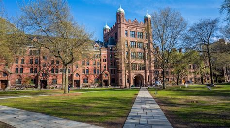 10+ Yale University Tips To Improve Building Skills