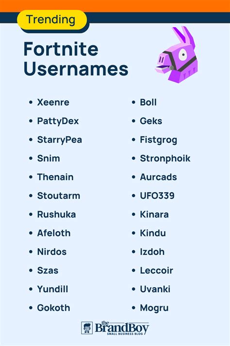 1101 Fortnite Usernames With Generator Brandboy