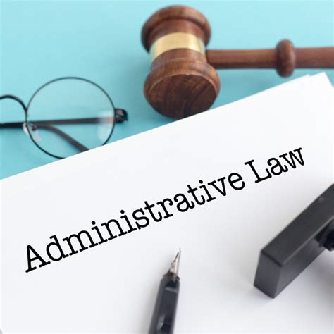 12 Administrative Law Insights