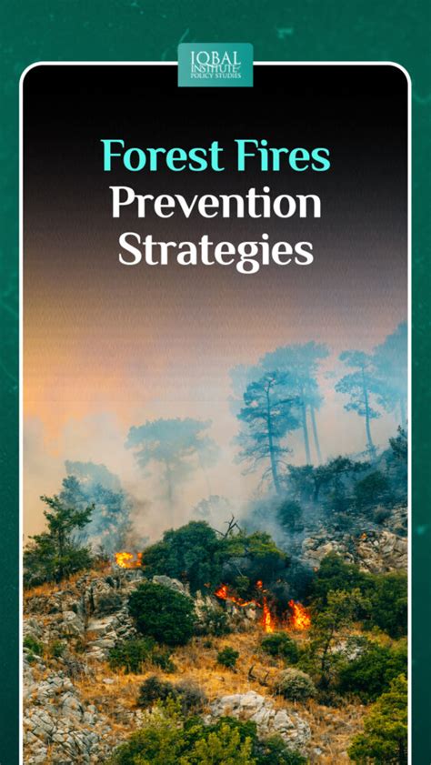 12+ Alberta Forest Fire Prevention Strategies