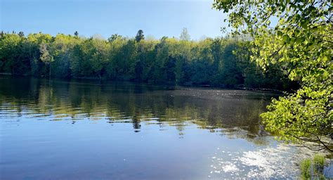 12+ Bear Lake Campground Wi Secrets For Best Stays