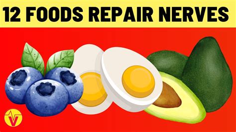 12 Best Foods To Repair And Prevent Nerve Damage Visitjoy Youtube