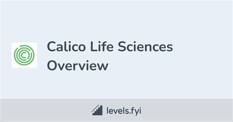 12 Calico Life Sciences Secrets To Boost Health