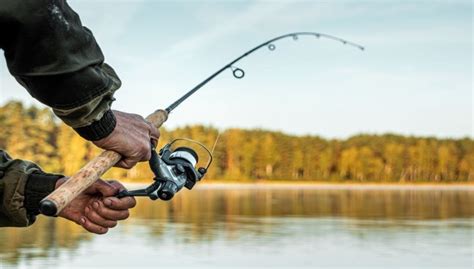 12+ Canada Fishing Secrets Every Angler Should Know