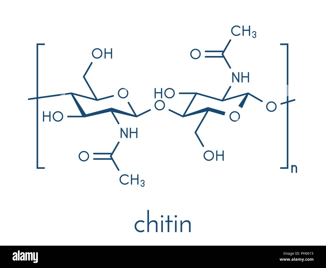 12 Chitin Structure Secrets Revealed