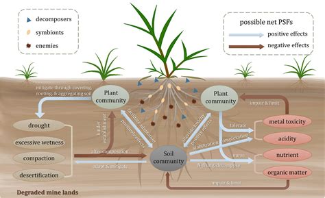 12 Coal Effects On Soil To Know Immediately