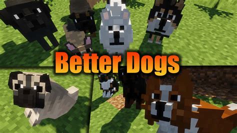 12 Dog Types In Minecraft For Better Gameplay