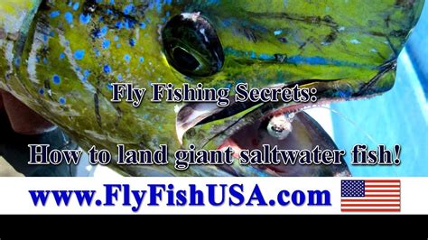 12+ Go Fishing Secrets To Land Giants